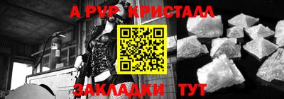 гашик Будённовск