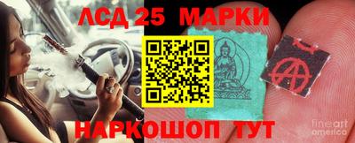 гашик Будённовск