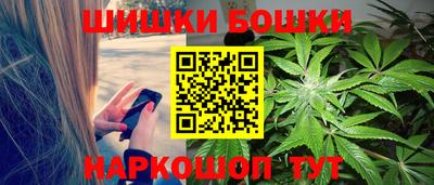 гашик Будённовск