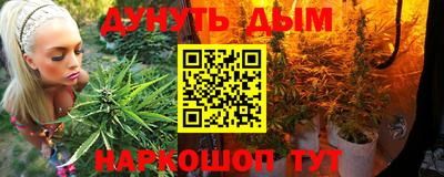 гашик Будённовск