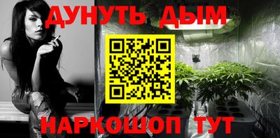 гашик Будённовск