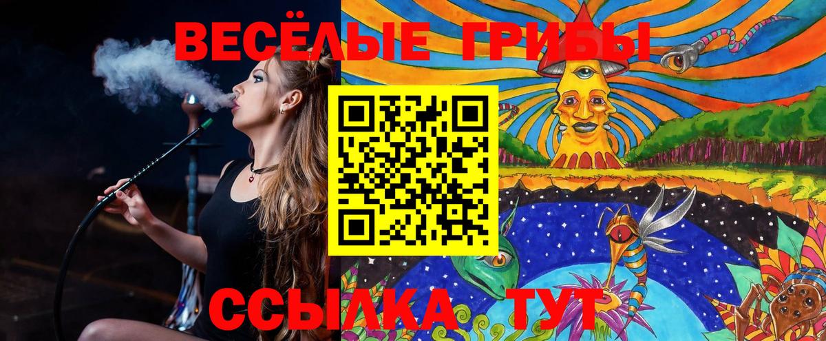 Псилоцибиновые грибы Cubensis  купить   Сунжа  Вход с VPN 
