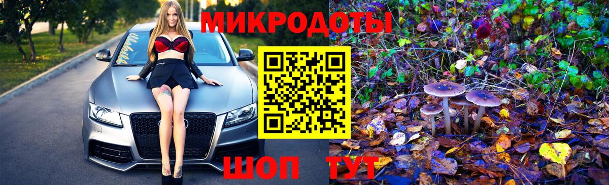 Псилоцибиновые грибы прущие грибы Сунжа